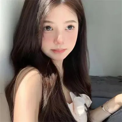 狗狗与我的十个约定